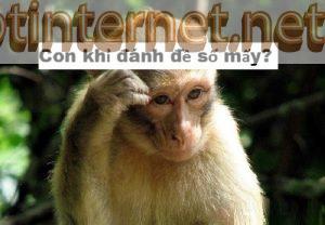 Ngủ Mơ Thấy Khỉ Là Lành Hay Dữ, Nên Đánh Con Gì? 10 FPT INTERNET - Lắp Mạng FPT - Lắp Wifi FPT - Lắp Internet FPT